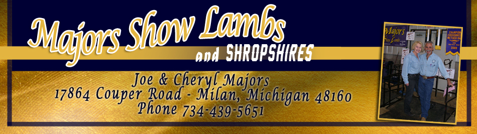 Majors Show Lambs and Shropshires